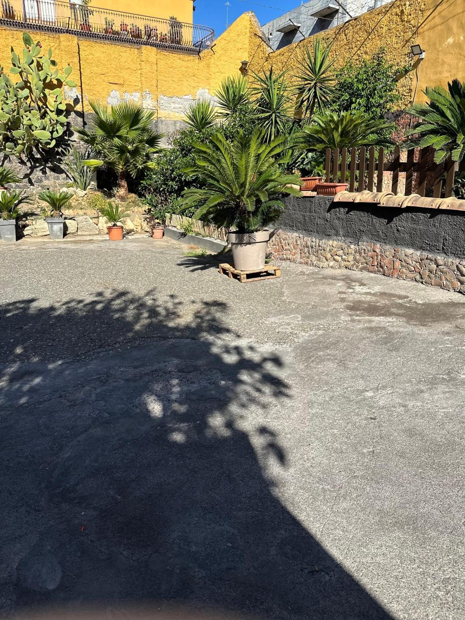 Garden Of Bitter Villa Catania Luaran gambar